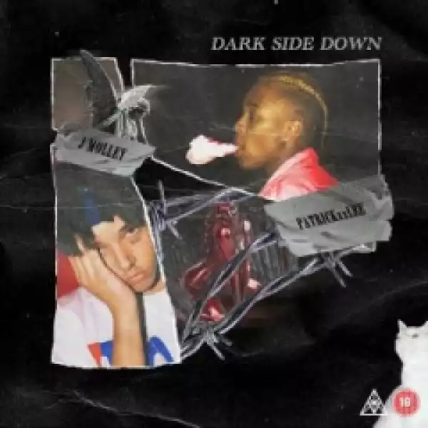 PatricKxxLee - Dark Side Down ft. J Molley